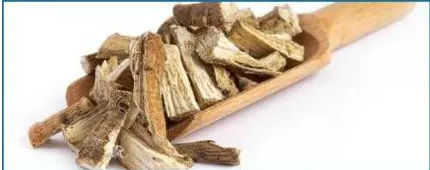 Marshmallow Root
