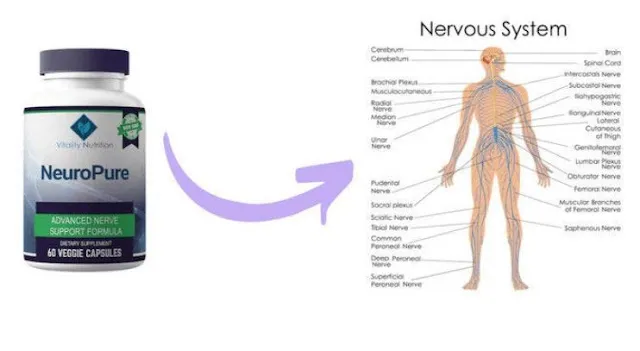 neuropure advanced nerve support